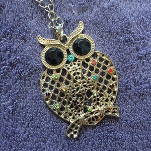 24" Owl Necklace